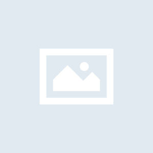 Blog 2
